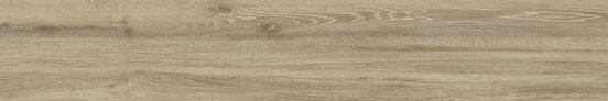 SEQUOIA BIRCH RECT 20X120 MATT Porcelain stoneware - APE