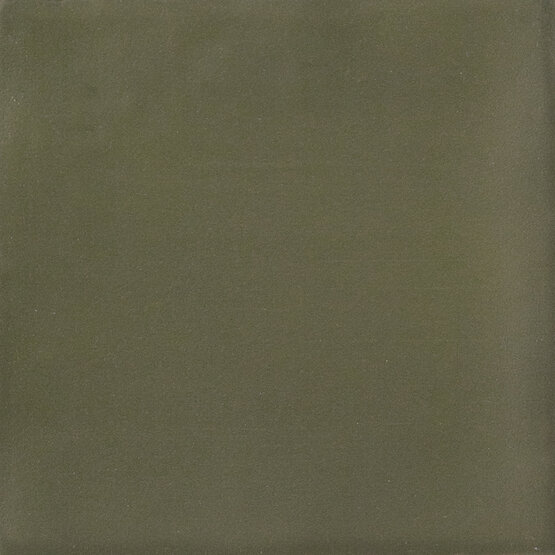 ISPAL GREEN 10X10 MATT White body - CARMEN