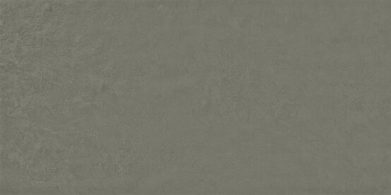 IMPRONTA OLIVA RECT 60X120 OPACO Pasta bianca - APE