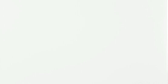 MONTBLANC WHITE POLISHED RECT 60X120 GLOSSY POLISHED GLAZE Porcelain stoneware - APE