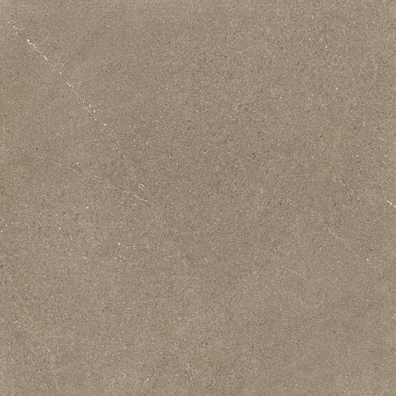 BURLINGTON TAUPE RECT 60X60 MATT Feinsteinzeug - APE