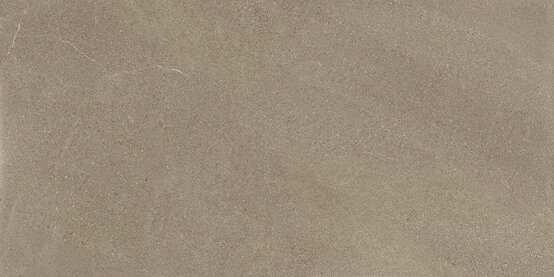 BURLINGTON TAUPE RECT 60X120 MATT Feinsteinzeug - APE