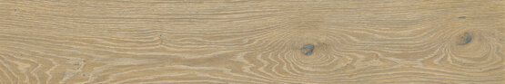 TRIANA DESIERTO RECT 20X120 MATT Porcelain stoneware - APE