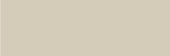 COLORFUL CHAMPAGNE RECT 30X90 OPACO Pasta bianca - APE