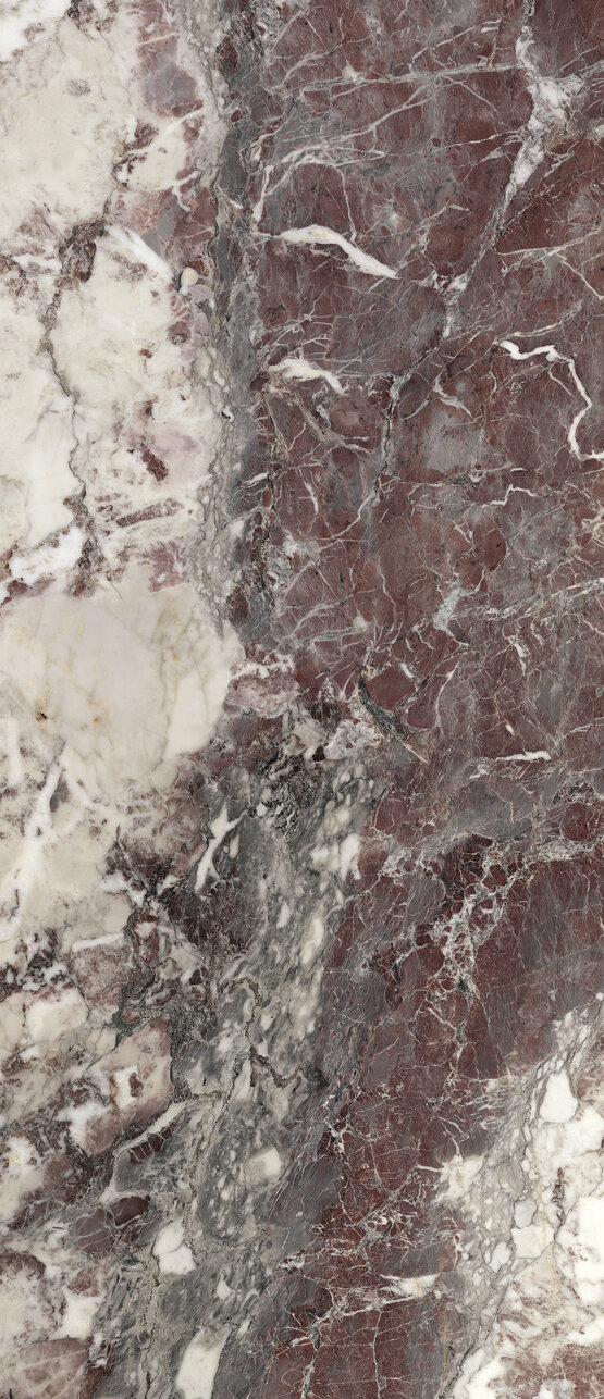 BRECCIA VIOLA POL RECT 120X278 GRANILLA PULIDA BRILLO Porcelánico - XLINING