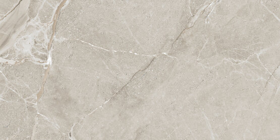 COLEMANITE STONE GREY RECT 60X120 МАТОВЫЙ Керамогранит - APE