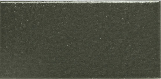ARKA GREEN 5,8X11,6 SATINIERT Feinsteinzeug - CARMEN
