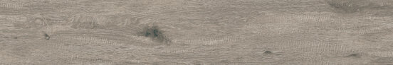 ALABAMA CENERE RECT 20X120 OPACO Gres porcellanato - APE