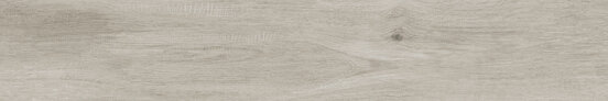 ANTI-SLIP ALABAMA NEBBIA RECT 20X120 OPACO Gres porcellanato - APE