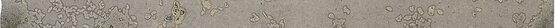 EDGE STICK GRUNGE GREY 1,5X30   - CARMEN