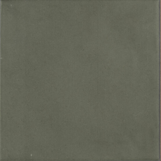 CONTEMPORARY FOREST 15X15 MATT Porcelain stoneware - CARMEN