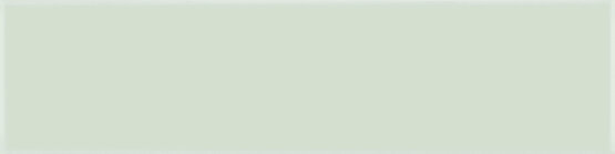 FLAT PALLADIUM 5X20 MATT White body - CARMEN