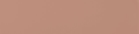 FLAT TERRACOTA 5X20 MATE Pasta blanca - CARMEN