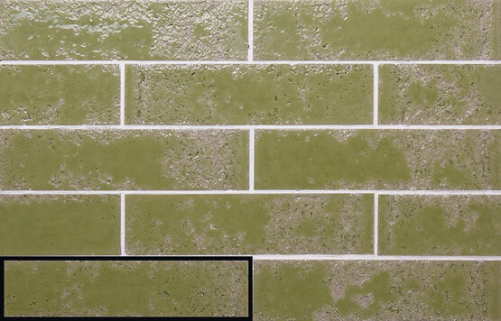 PUKKA MOSS GREEN 6,4X26 ГЛЯНЦЕВЫЙ Белая масса - CARMEN