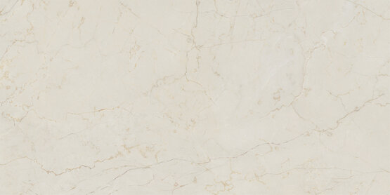 MONTE COTO WHITE POL RECT 60X120 GRANILLA PULIDA BRILLO Porcelain stoneware - APE
