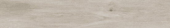 ALABAMA NEBBIA RECT 20X120 OPACO Gres porcellanato - APE