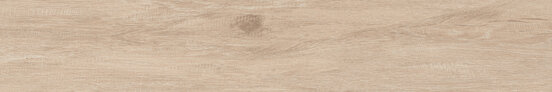 ALABAMA FAGGIO RECT 20X120 OPACO Gres porcellanato - APE