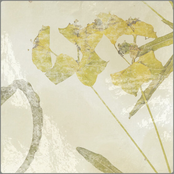 KASBAH OCRE MIX 13X13 GLOSSY White body - CARMEN