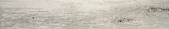 OREGON GRIS RECT 20X120 OPACO Gres porcellanato - APE