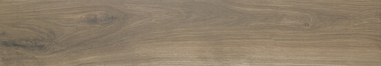 OREGON ROBLE RECT 20X120 OPACO Gres porcellanato - APE