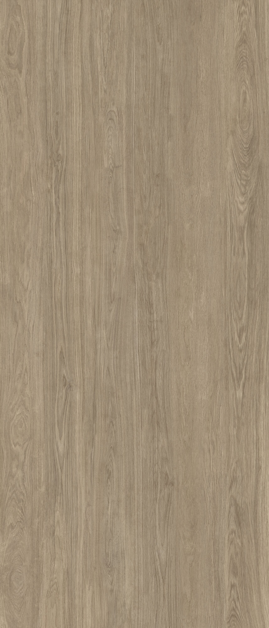 キングウッド XLINING-KINWOOD WALNUT RECT 120X280