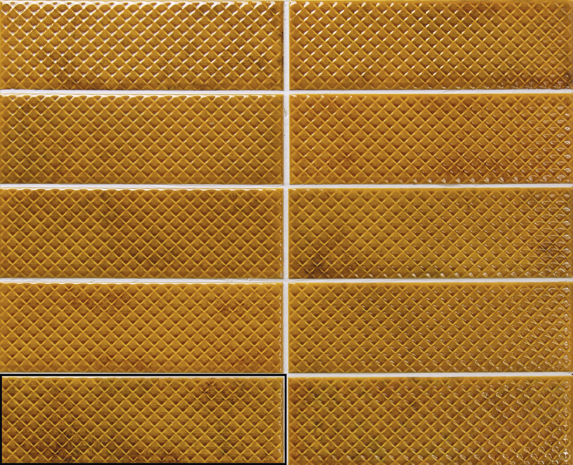 PR170547BI57125_A041662_MIMOSA