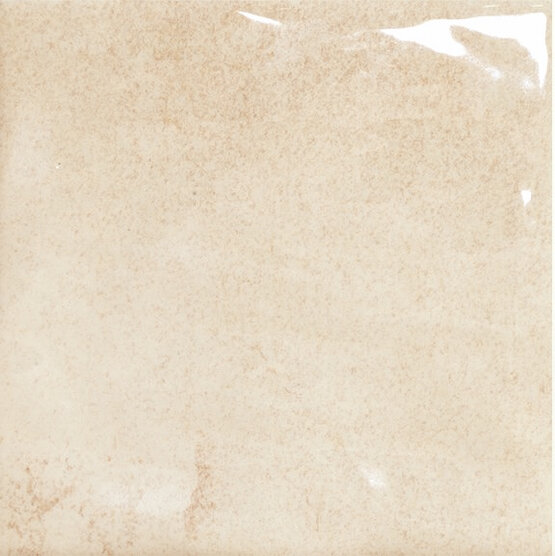 BOTTEGA PALE 10X10 GLOSSY White body - CARMEN