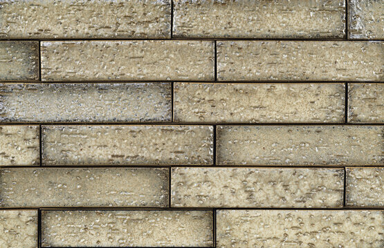 KOKO +13 FOSSIL 4,8X19,6