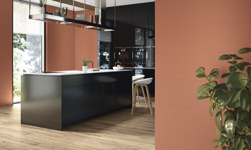 COLORFUL_ROUGE_AMB-16