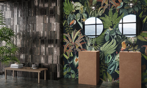 MAGNETISM_GRAPHITE_AMB-11