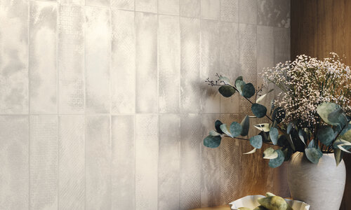 TERRANOVA_NACAR_AMB-8