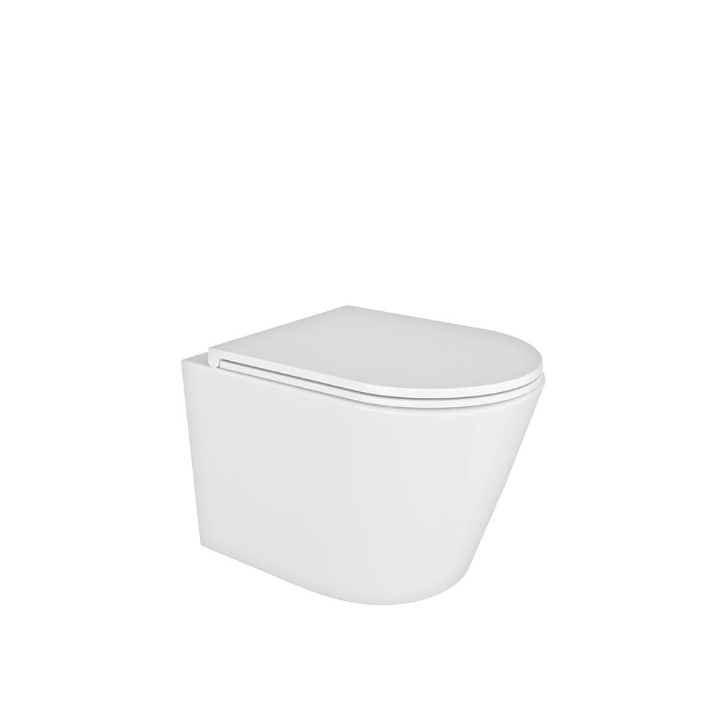 Aquitania, inodoro suspendido