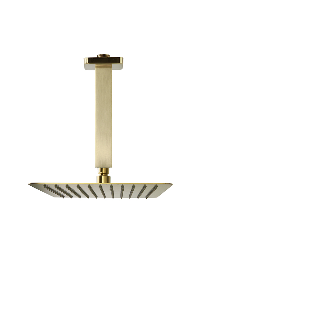 Rociador de ducha oro cepillado de metal extraplano, cuadrado de 250mm a techo.