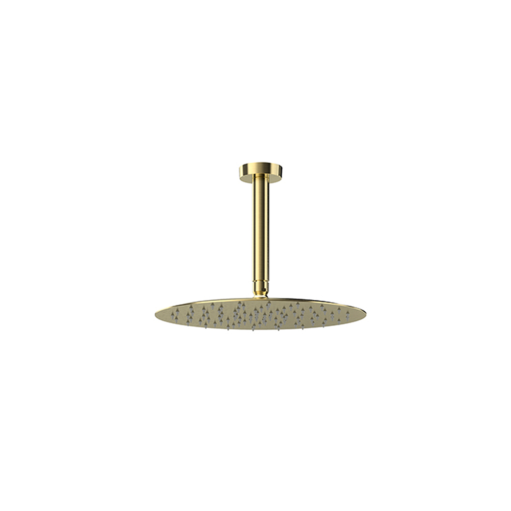 Conjunto de brazo de techo con rociador redondo de Ø300mm,oro cepillado