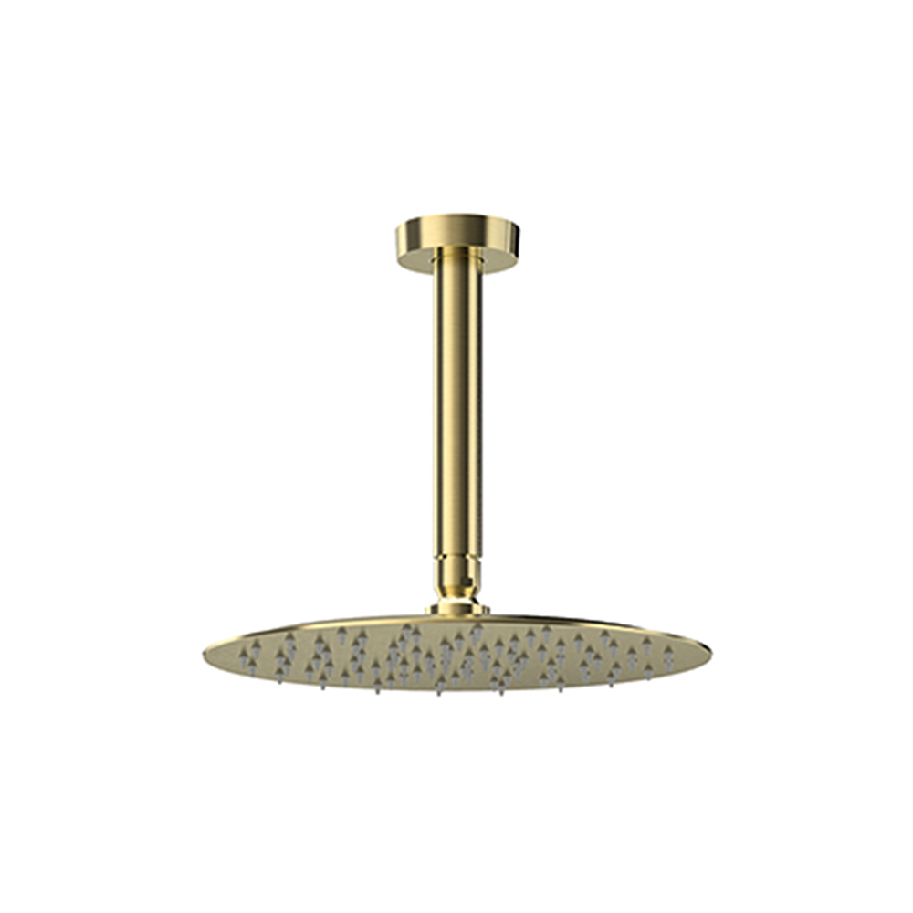 Conjunto de brazo de techo con rociador redondo de Ø250mm,oro cepillado