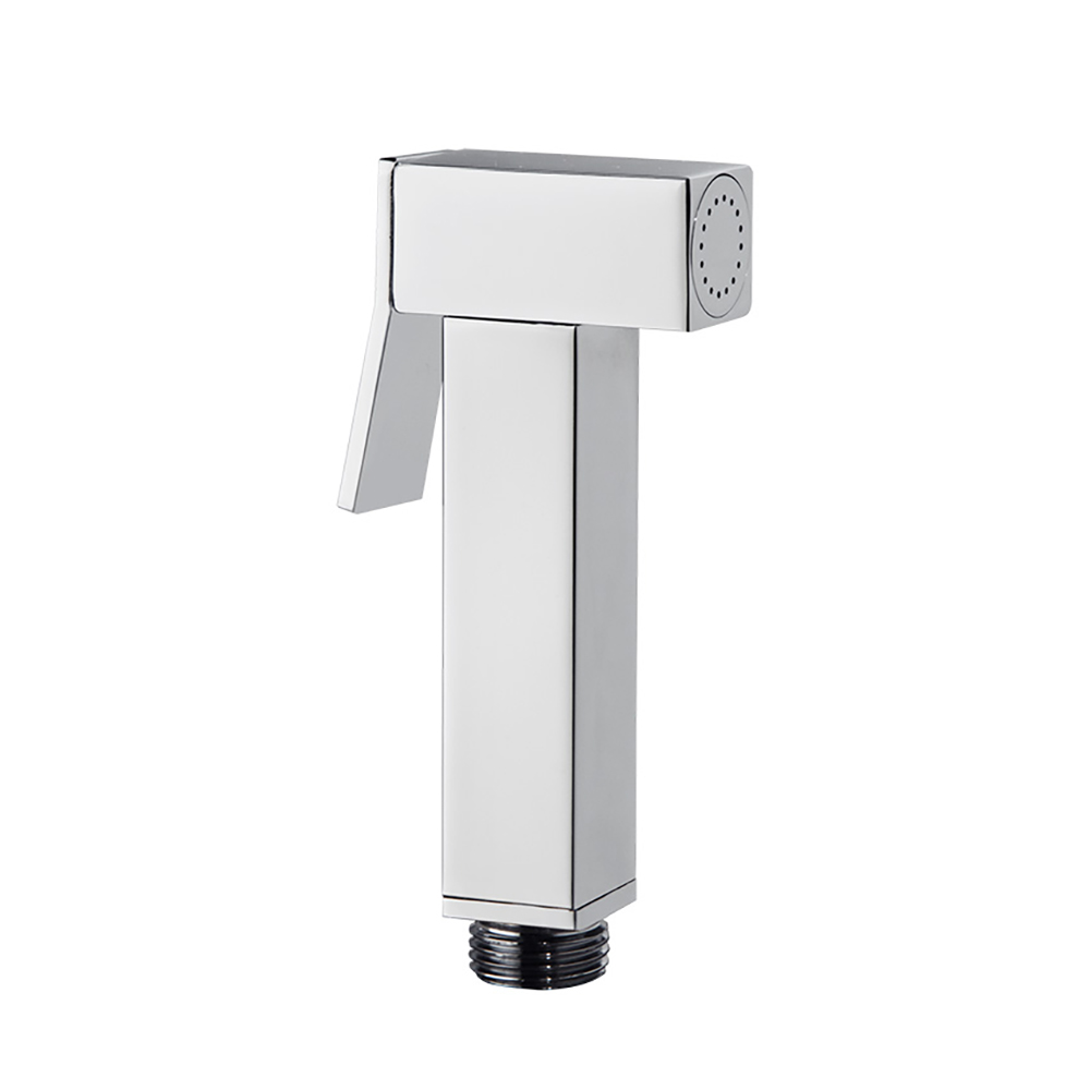 Monomando mural para WC RS-Q 110 mm con accesorios,cromo