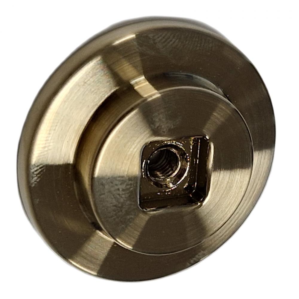 Oro Cepillado