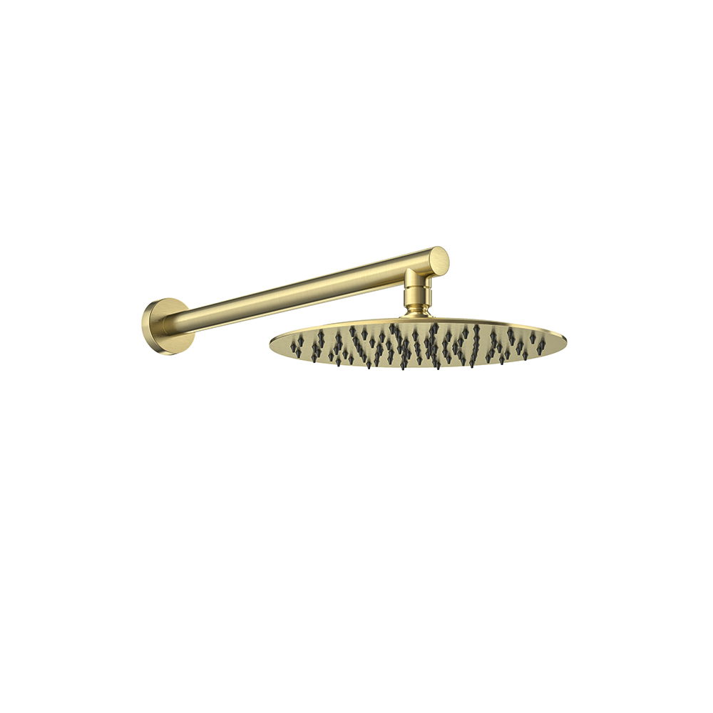 Conjunto de brazo de pared con rociador redondo de Ø250mm,oro cepillado