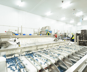 HELIOS 1200 HE 34W 5000K 1-10V DIMMING EM SELF TEST