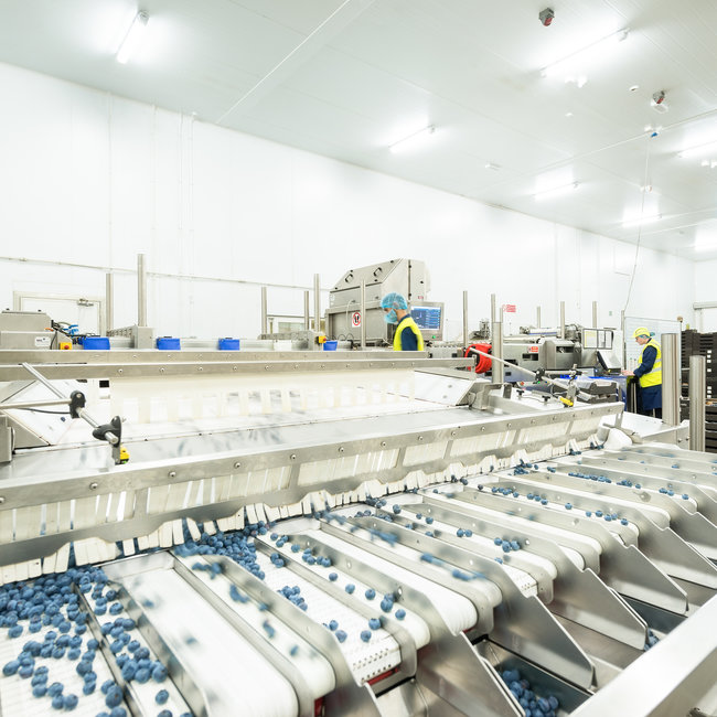 HELIOS 1200 HE 34W 4000K 1-10V DIMMING EM SELF TEST