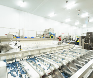 HELIOS 1200 HE 34W 4000K 1-10V DIMMING EM SELF TEST