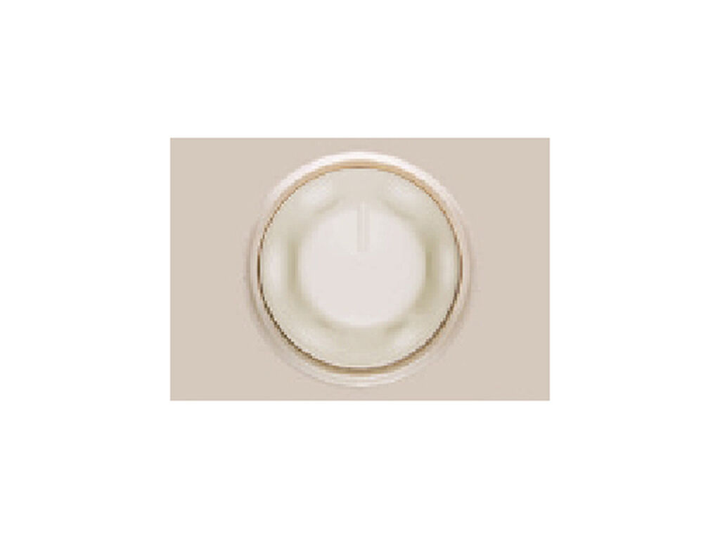Coral, tapa con boton para regulador, plata luna
