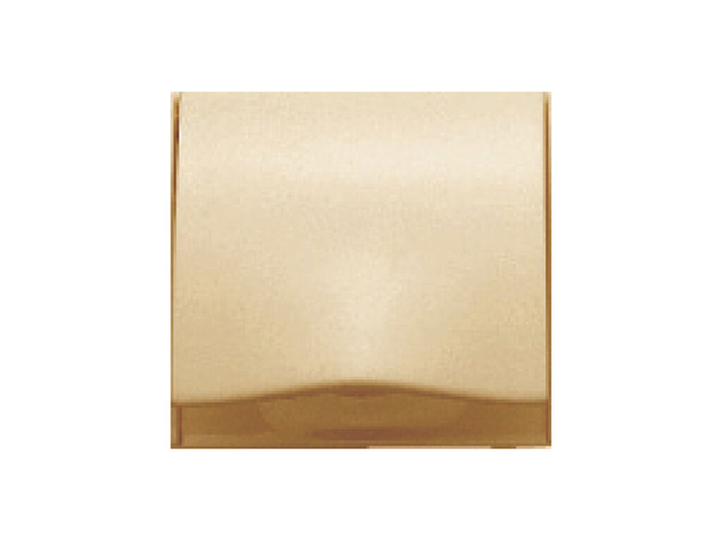 Coral, tapa articulada para base enchufe 2 polos +tt lateral, dorado perlado