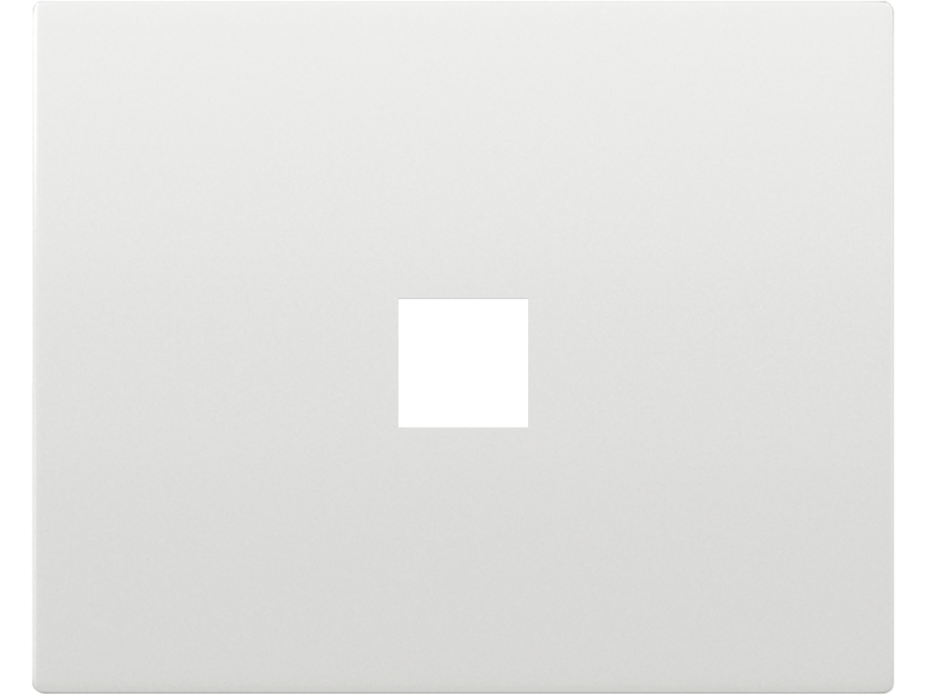 Tapa toma telefono rj11 (emborne con tornillo)