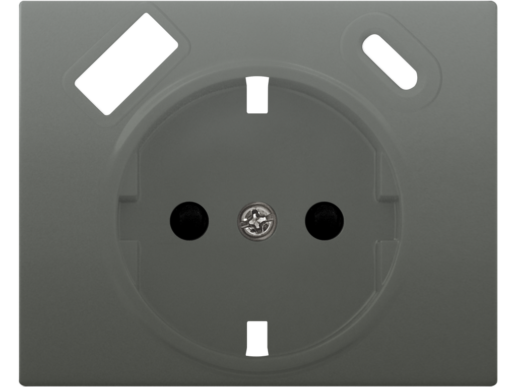 Iris, tapa schuko usb ac, acero neptuno