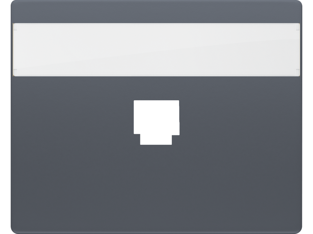 Iris, Tapa un conector rj11 o rj45 con portaetiquetas