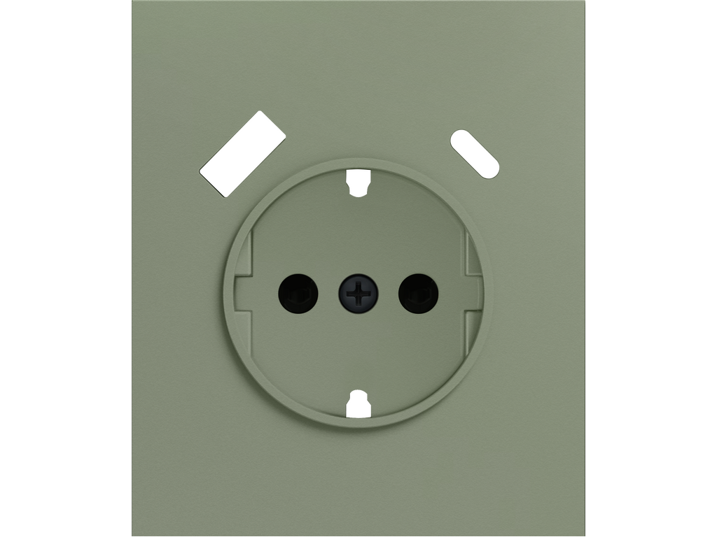 COSMOS, SCHUKO COVER WITH USB A+C, MIST GREEN