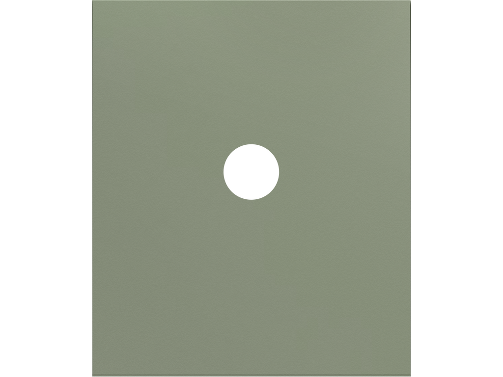 COSMOS, TAPA PARA TOMA RCA MONO, VERDE BRUMA