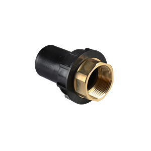 PE / BRASS FEMALE TRANSITION