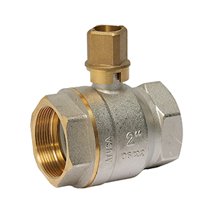 REF. 59 - 28x28 SQUARE CAP BALL VALVE F/F